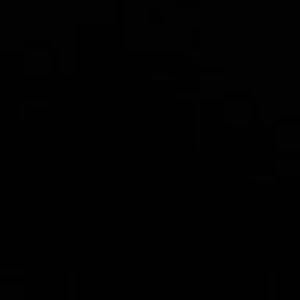 Meet your Posher, Younbin